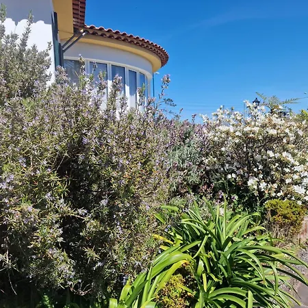 Familia Dehoux Apartamento Camacha (Madeira)